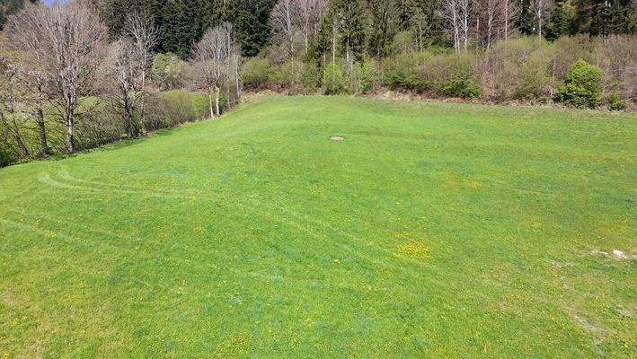 KITZIMMO-Baugrundstück in ruhiger, sonniger Aussichtslage kaufen - Immobilien Söll.