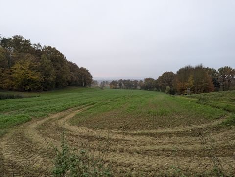 Bruckbergerau Bauernhöfe, Landwirtschaft, Bruckbergerau Forstwirtschaft