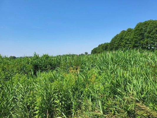 Somogysámson Graben