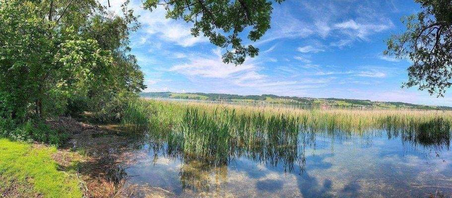 Grundstück am Obertrumer See