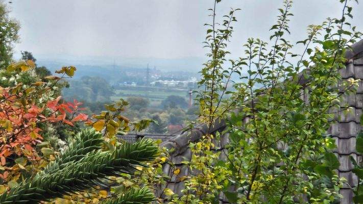 ...auch mit Fernblick...