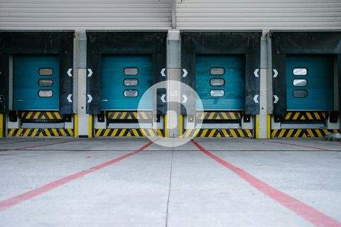 Frankfurt am Main Halle, Frankfurt am Main Hallenfläche