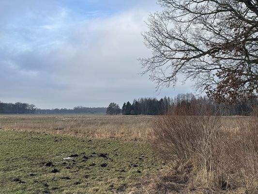 Voigtei_Flur4_Flstk36_2