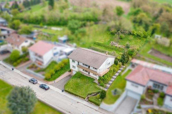 20250422-hamann-media-gbr-03666