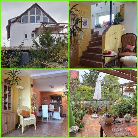 Haßloch Häuser, Haßloch Haus kaufen