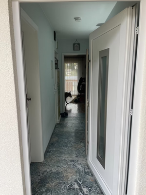 91ee1904-7c3b-4f38-8851-f8bafd612b1f