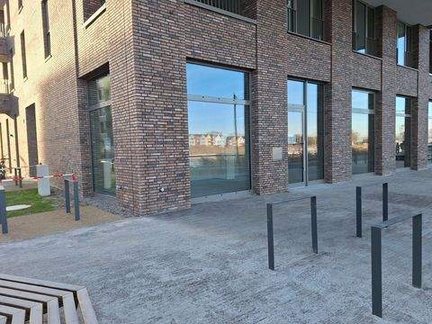 Greifswald Ladenlokale, Ladenflächen 