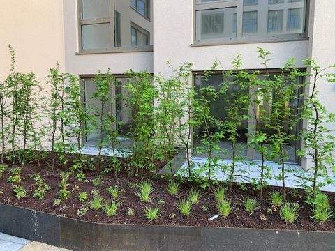 Mainz Wohnungen, Mainz Wohnung kaufen