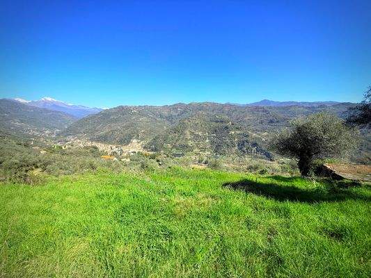 DA1003_03_TERRA ITALIA IMMOBILIEN_REAL ESTATE_LAND