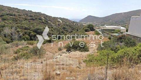 Gavrio, Andros Bauernhöfe, Landwirtschaft, Gavrio, Andros Forstwirtschaft