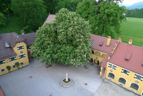 Grödig Büros, Büroräume, Büroflächen 