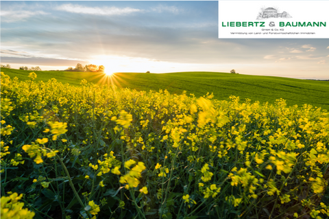 Ratingen Bauernhöfe, Landwirtschaft, Ratingen Forstwirtschaft