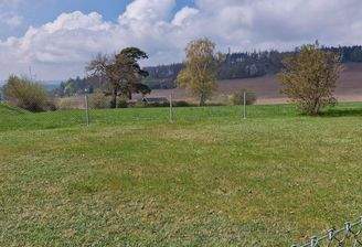 Blick aus dem Garten