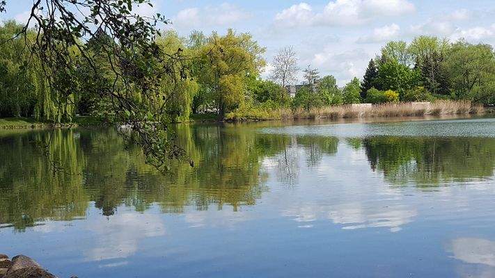 Schwanenteich Zwickau