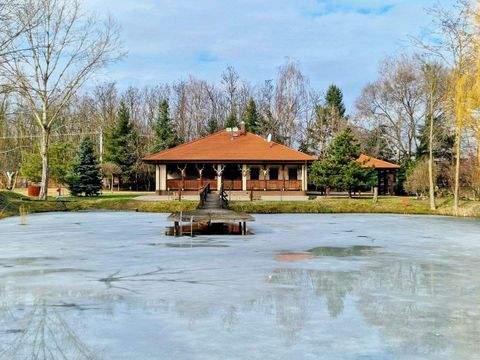 Lajosmizse Bauernhöfe, Landwirtschaft, Lajosmizse Forstwirtschaft