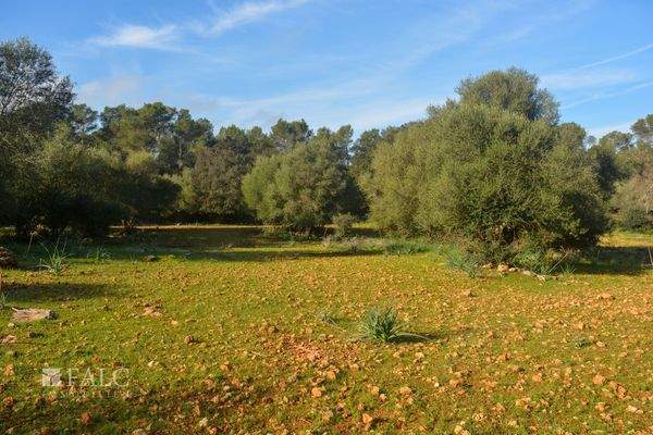 ...wundervolle/maravilla/beautiful...