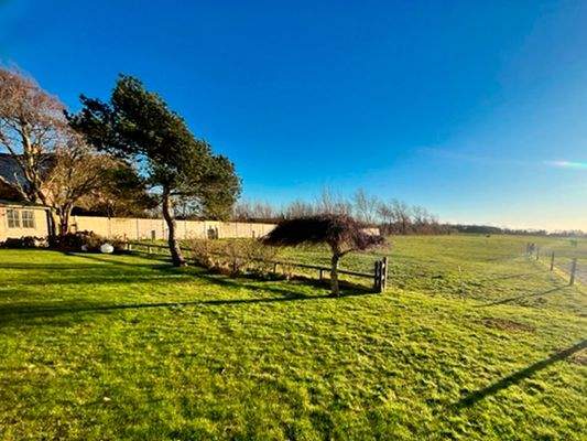 Herrlicher Blick in die Natur!