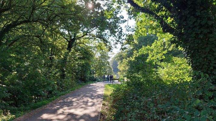 19-Umgebung - naechste 80 m 2