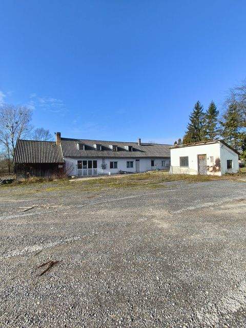 Böhönye Bauernhöfe, Landwirtschaft, Böhönye Forstwirtschaft