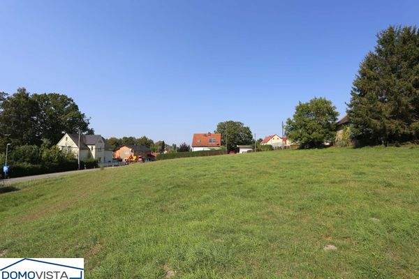 43. Blick auf die Wiesenflächen