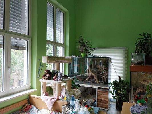 Wohnzimmer mit Wintergarten