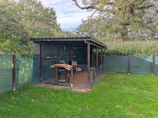 Foto 004 Maierbusch 15.jpg