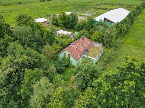 Aurich Häuser, Aurich Haus kaufen