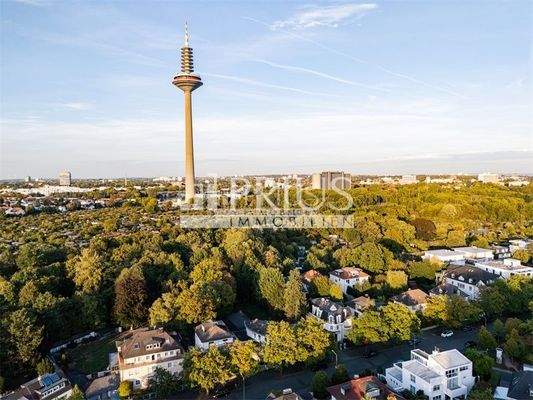 Immobilien_Prius_Drohne_Horizo