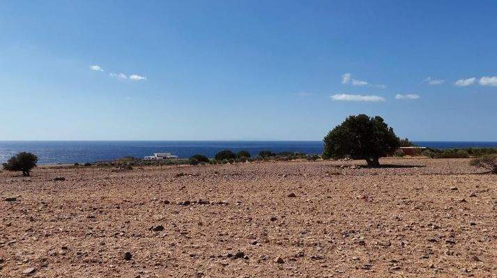 Kreta, Skaloti: Großes Baugrundstück mit Meer- und Bergblick an der Südküste