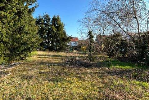 Graben-Neudorf Grundstücke, Graben-Neudorf Grundstück kaufen