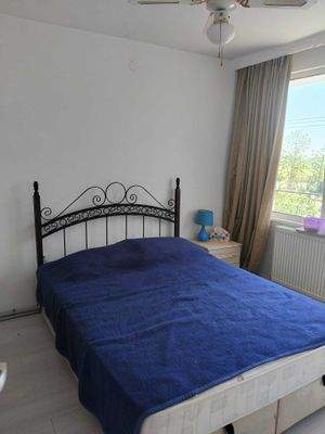 Bild 43