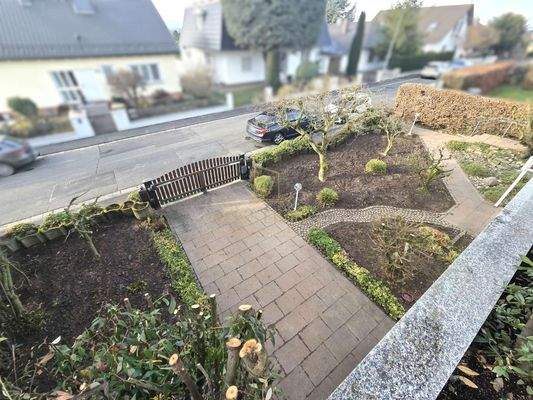 Vorgarten + Einfahrt