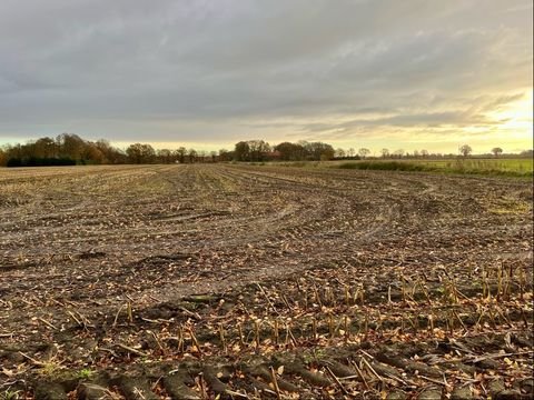 Emlichheim Bauernhöfe, Landwirtschaft, Emlichheim Forstwirtschaft