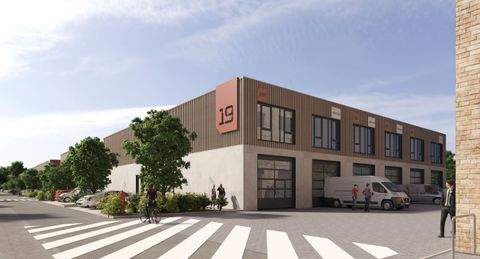 Mannheim Halle, Mannheim Hallenfläche