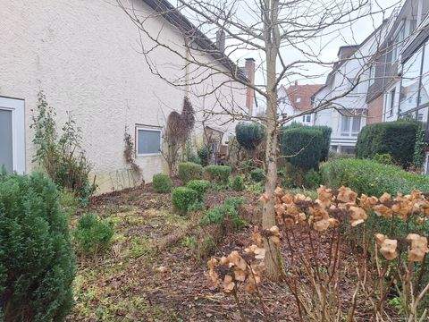 Bad Meinberg Grundstücke, Bad Meinberg Grundstück kaufen