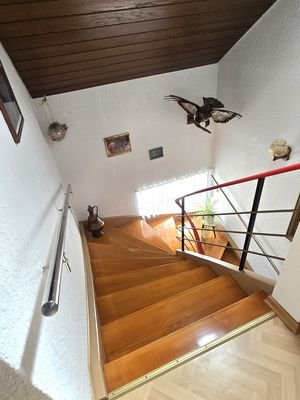 20250409_123445 (Mittel).jpg