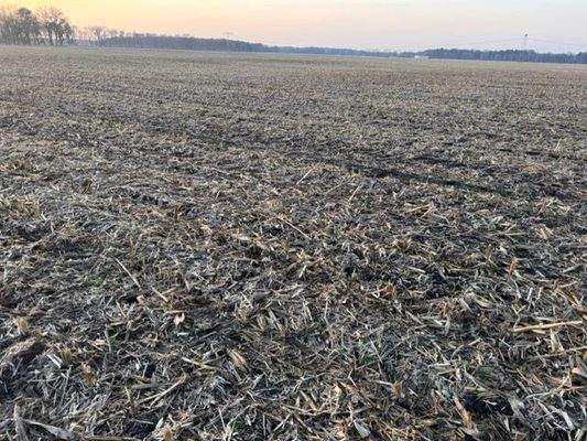 Acker 2, 244   .jpeg