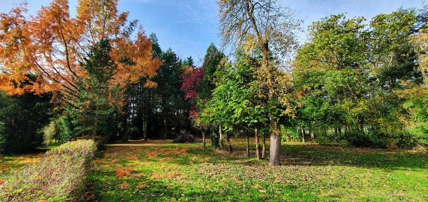 Ansichten - Grundstück - Wald 