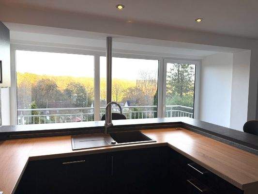 Ausblick aus der Küche im EG
