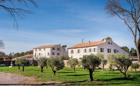 STE MAXIME Bauernhöfe, Landwirtschaft, STE MAXIME Forstwirtschaft