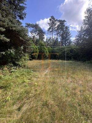 Grundstücksansicht aus Nordosten