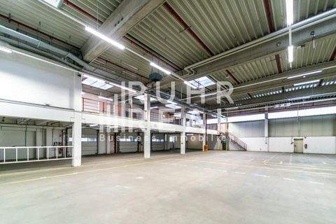 Soest Halle, Soest Hallenfläche