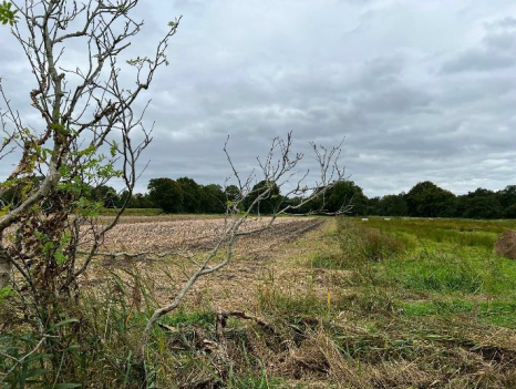 Ansicht von Nordwesten