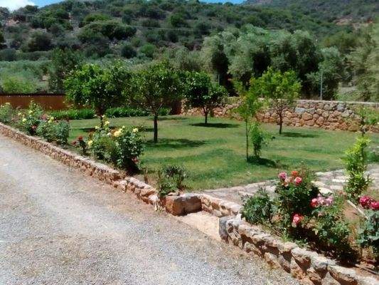 Kreta, Exo Lakonia: 5-Zimmer-Villa mit großem Olivenhain zu verkaufen
