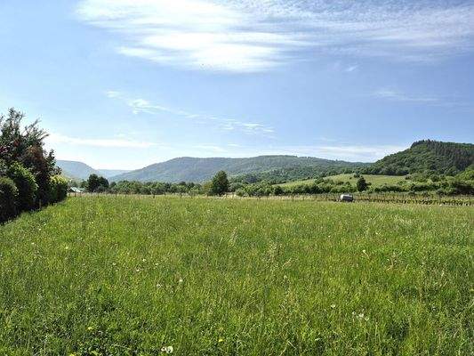 Blick in die Umgebung Richtung Traben-Trarbach vom Nachbargrundstück