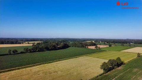 Wardenburg Bauernhöfe, Landwirtschaft, Wardenburg Forstwirtschaft