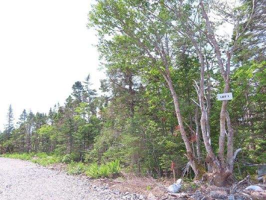 Nova Scotia - English Harbour/Grovers Point - Wund