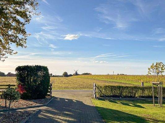 Zufahrt mit Aussicht