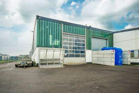 Heilbronn Halle, Heilbronn Hallenfläche