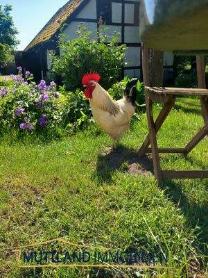 Landlust inklusive Weckruf